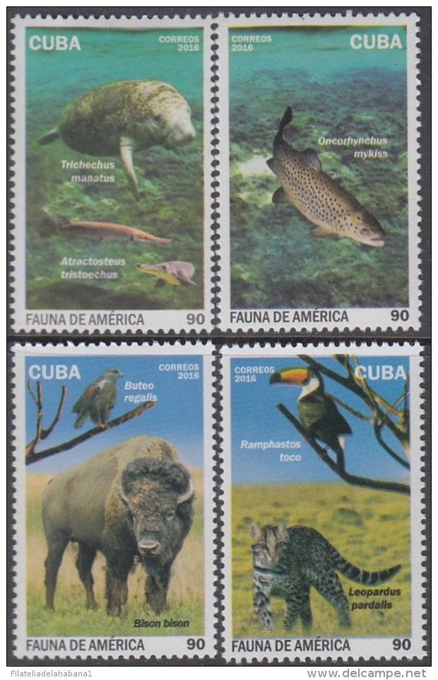 2016.111 CUBA MNH 2016. FAUNA DE AMERICA MANATI LEOPARDO LEOPARD BISONTE. - Ongebruikt