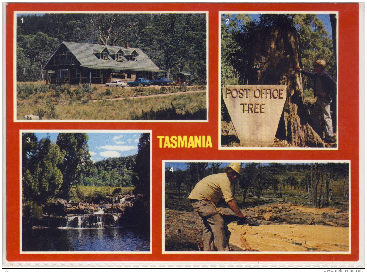 TASMANIA - Isle Of Beauty, Multi View W. Pencil Pine Lodge And Falls, Post Office Tree, Cider Gum Logging - Other & Unclassified