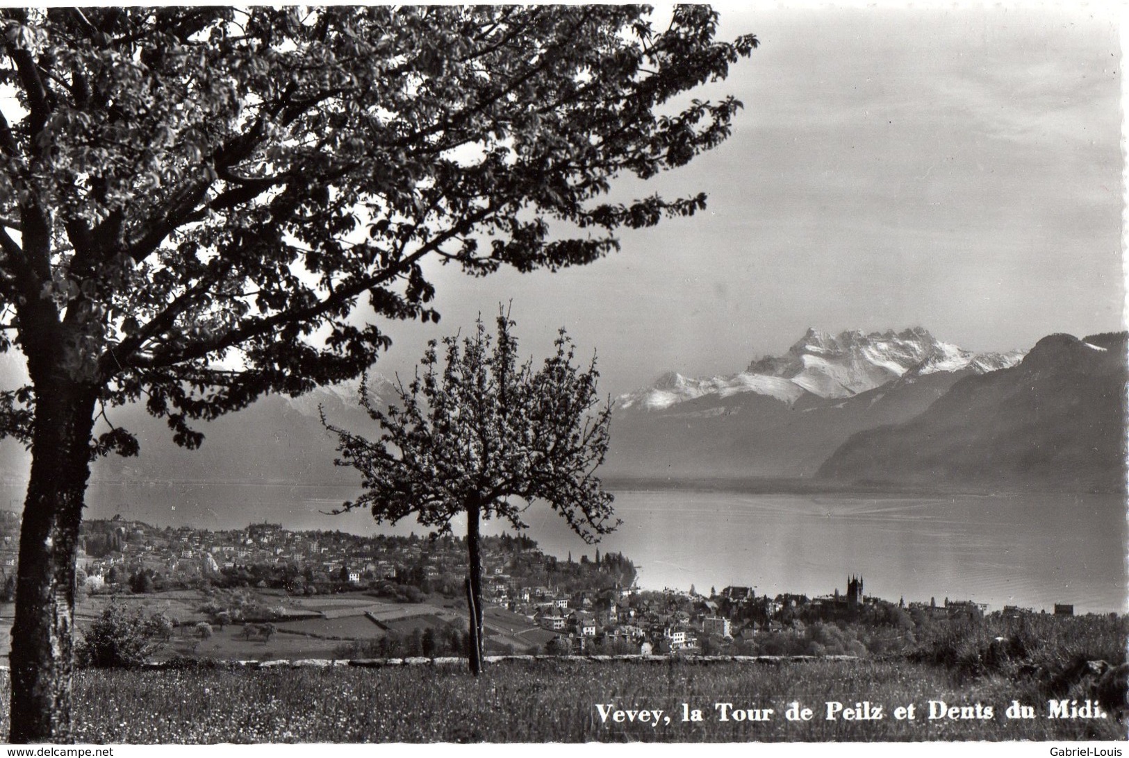 Vevey La Tour De Peilz Et Dents Du Midi - La Tour-de-Peilz