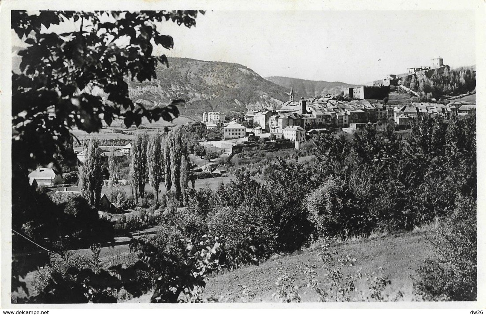 Seyne-les-Alpes - Vue Générale Prise De La Route De Digne - Edition La Cigogne - Carte N° 8221 - Autres & Non Classés