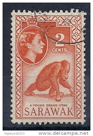 130102068  SARAWAK  YVERT   Nº 190 - Sarawak (...-1963)