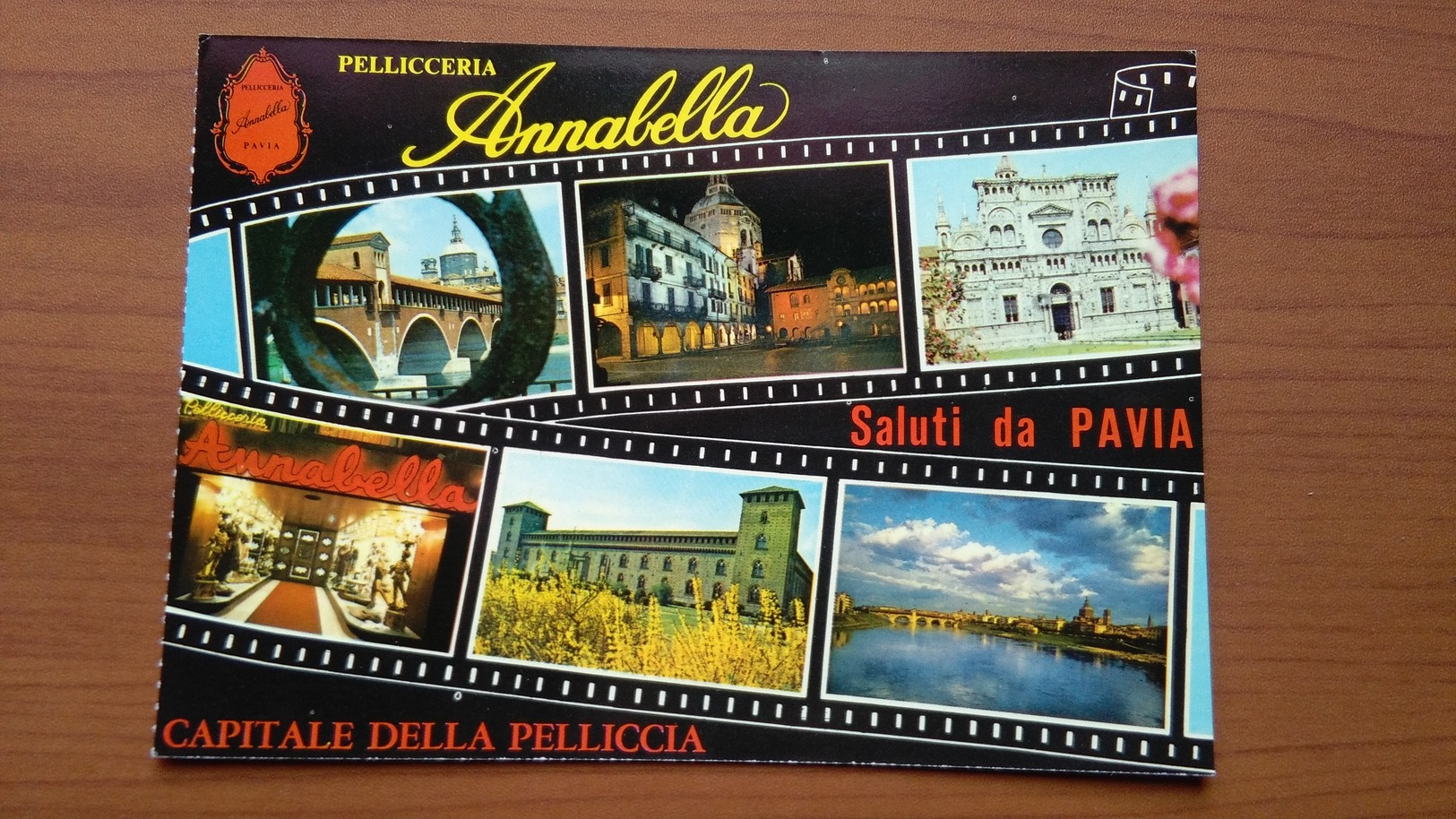 Saluti Da Pavia - Pellicceria Annabella - Pavia