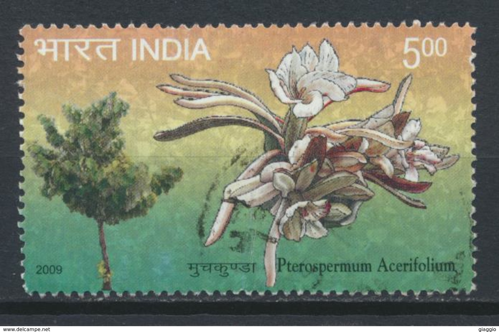 °°° INDIA - PTEROSPERMUM ACERIFOLIUM - 2009 °°° - Used Stamps