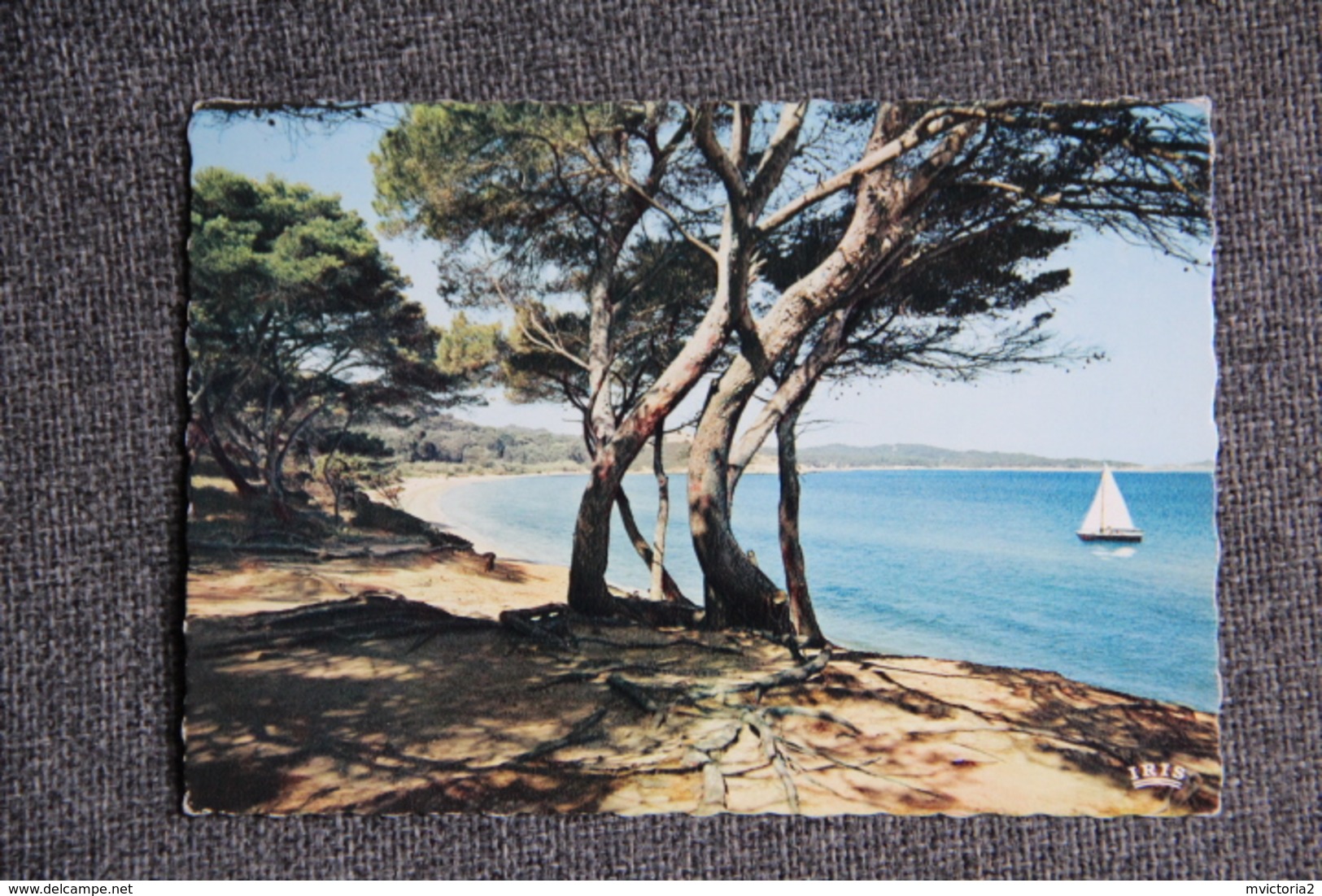 Ile De PORQUEROLLES - Plage De La COURTADE - Porquerolles