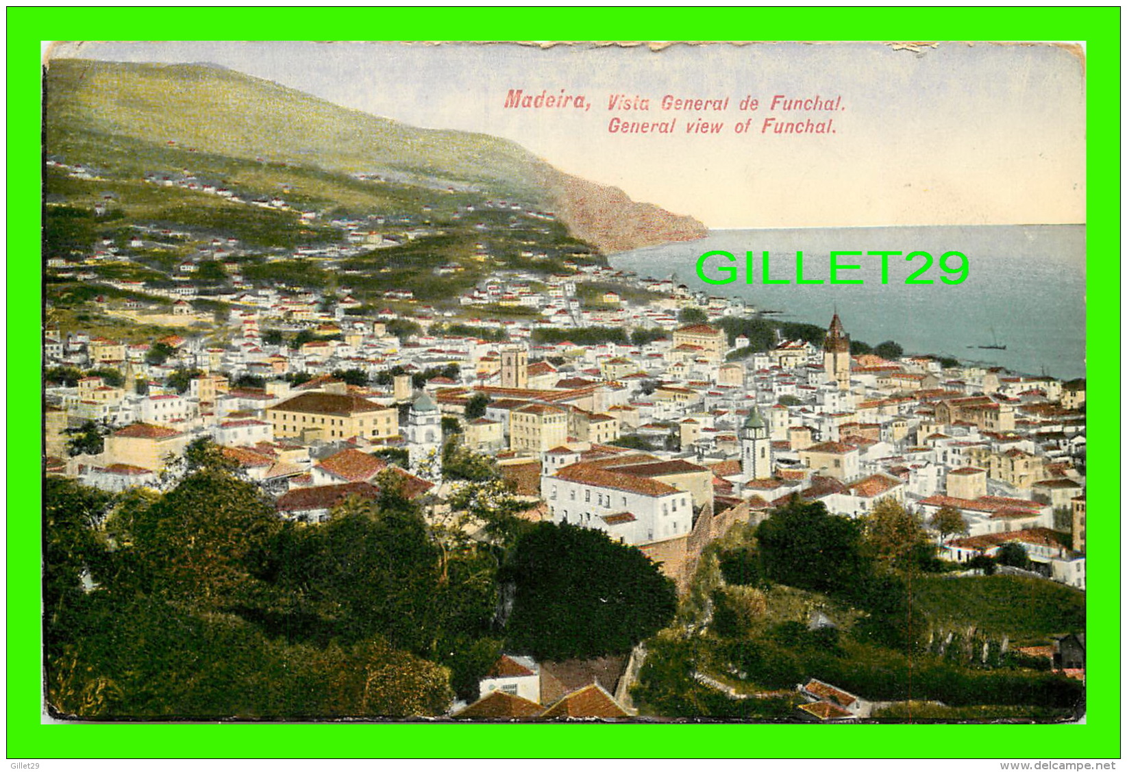 MADEIRA, PORTUGAL - VISTA GENERAL DE FUNCHAL - GENERAL VIEW OF FUNCHAL - - Madeira