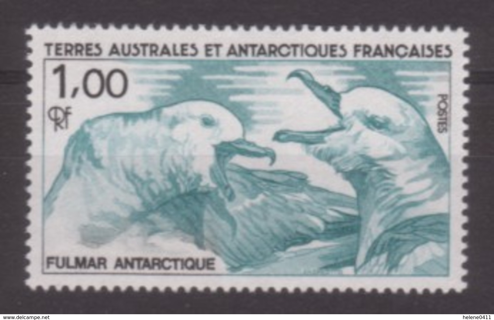 TIMBRE NEUF DES T.A.A.F. - FULMAR N° Y&T 115 - Gaviotas