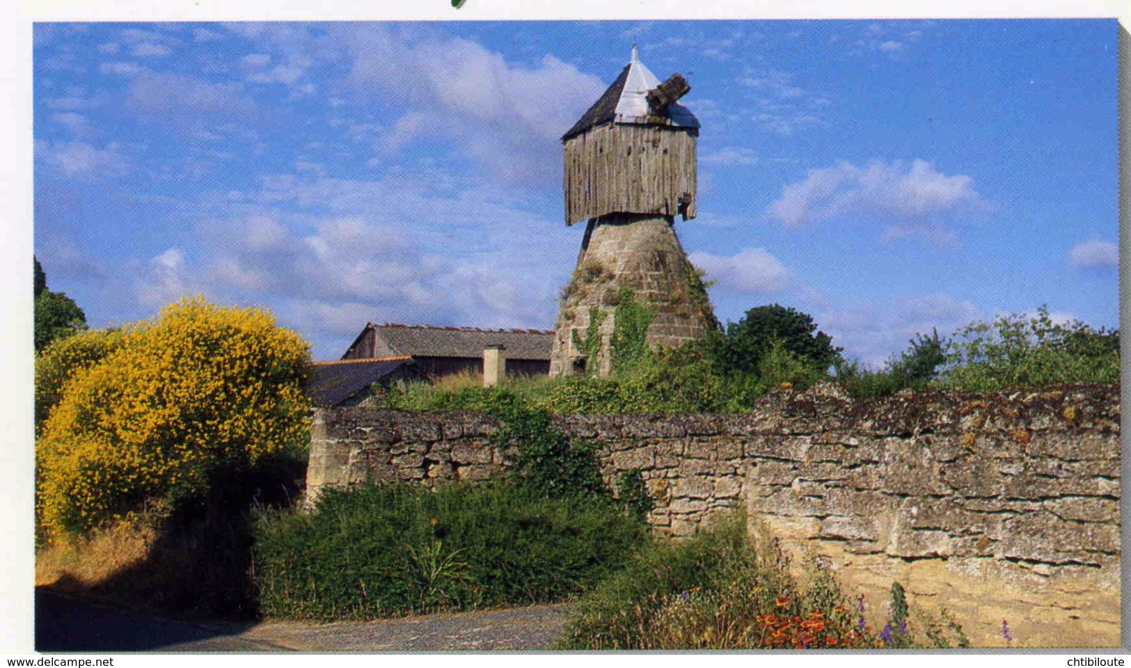 DOUE LA FONTAINE  /  49      /  VUE GENERALE   LE MOULIN  CPM / CPSM  10 X 15 - Doue La Fontaine