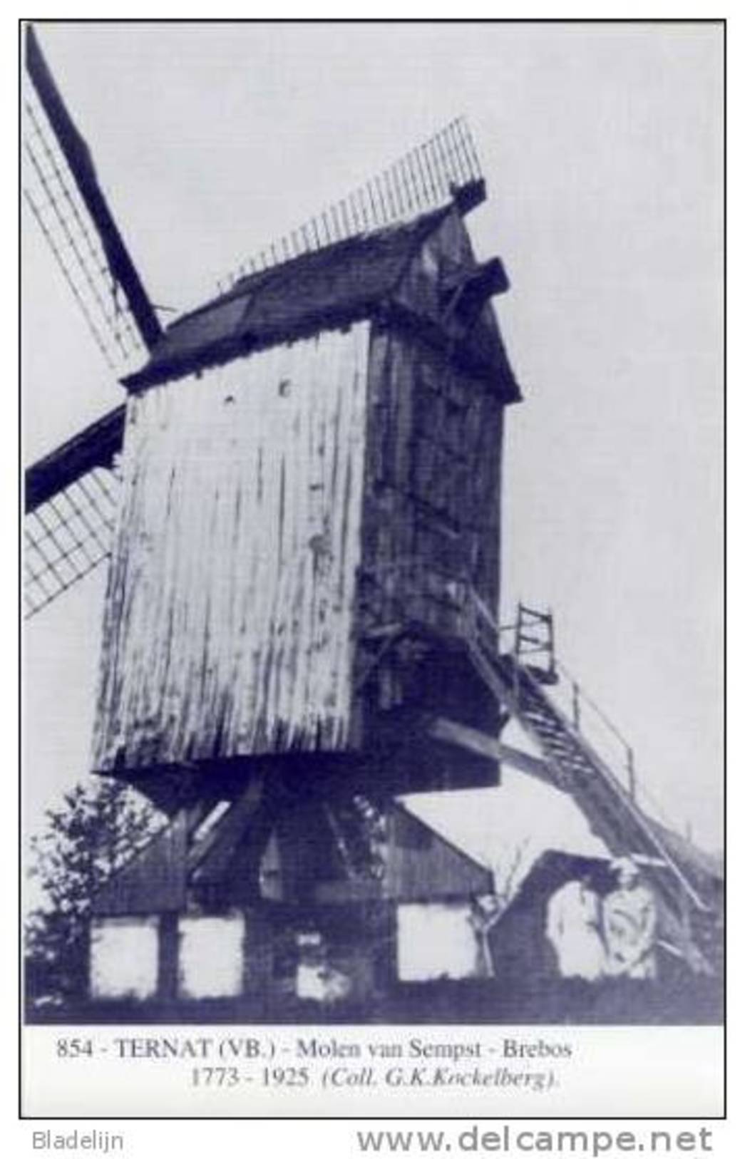 TERNAT (Vlaams-Brab.) - Molen/moulin - Blauwe Prentkaart Ons Molenheem Van De Gewezen Molen Van Sempst (naar Oude Foto) - Ternat