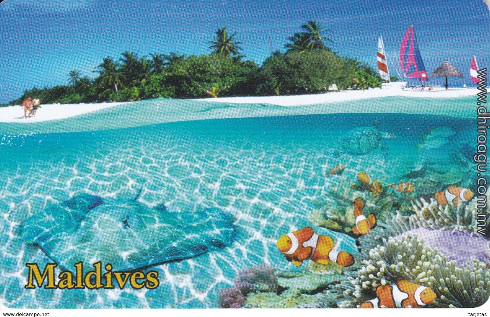TARJETA DE MALDIVES DE UNA RAYA Y UNOS PECES PAYASO-TORTUGA RF50 (FISH-PEZ-TURTLE) - Peces