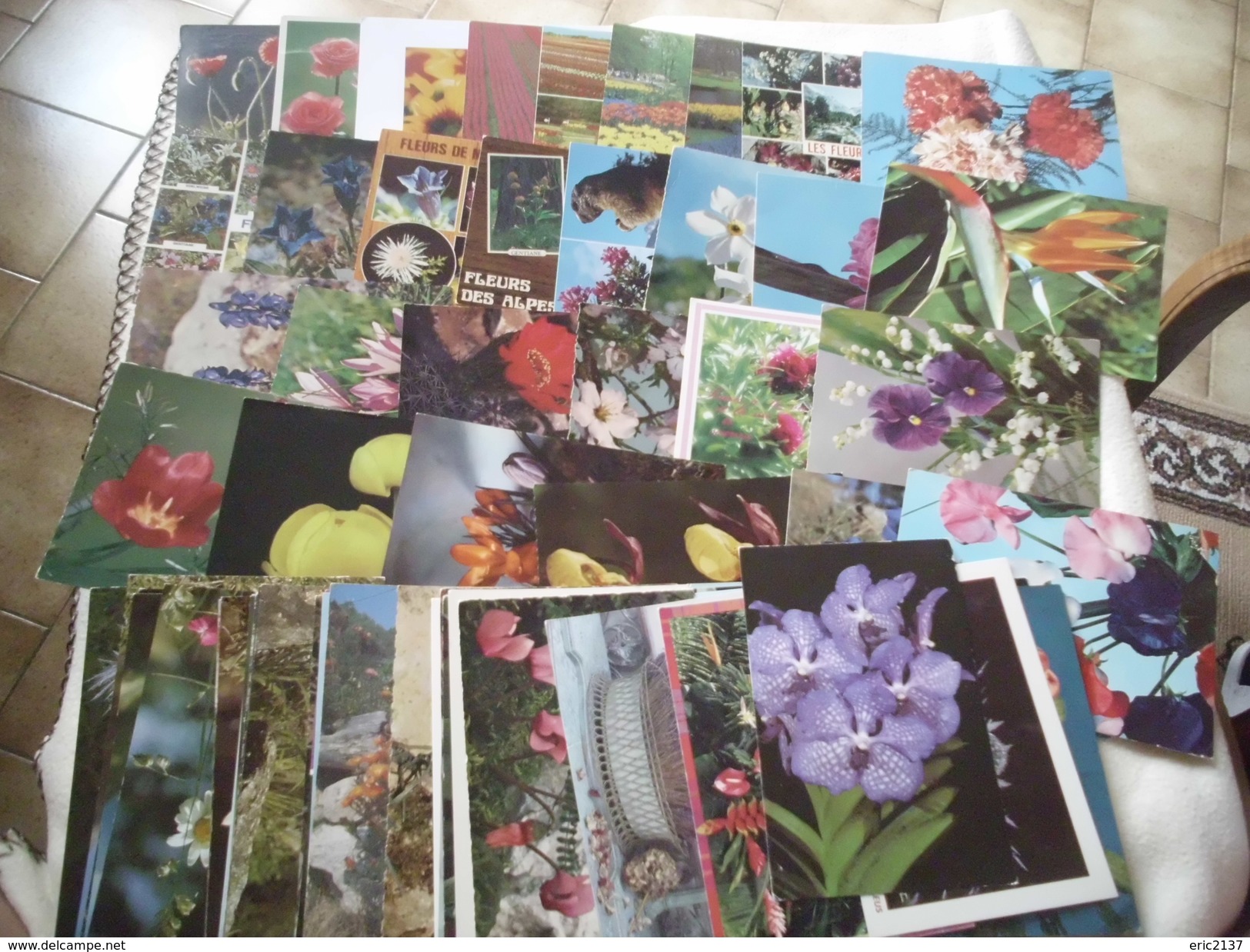 LOT DE 65 CARTES FLEURS - 5 - 99 Cartes