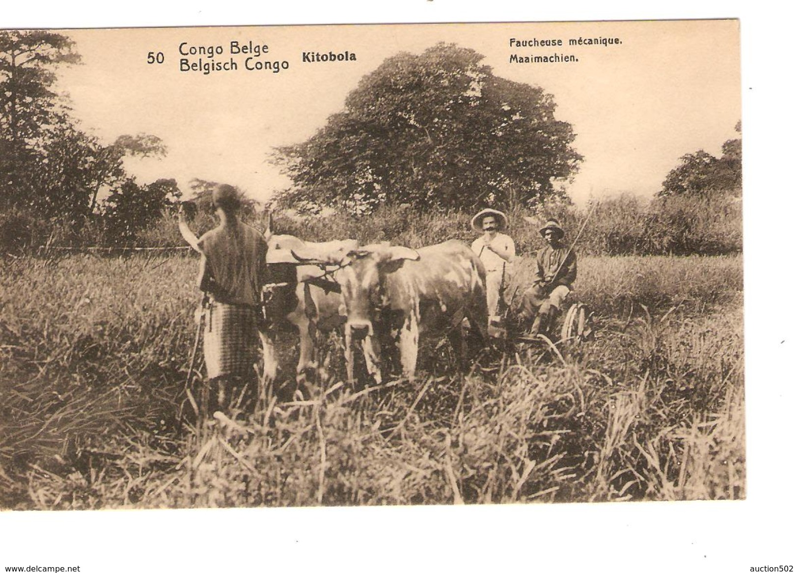 Entier CP 10c Belgisch Congo Belge N°50 C.Stanleyville En 1913 V.Bruxelles C.d'arrivée PR4335 - Entiers Postaux