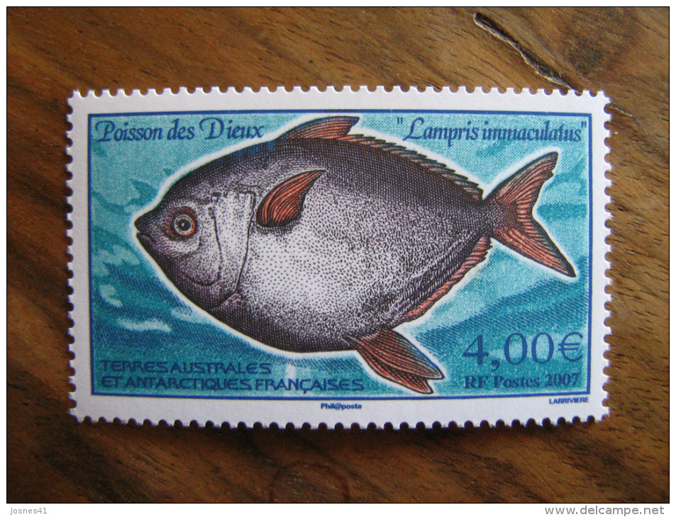 TAAF 2007  P456  * *   FAUNE  POISSON  DES  DIEUX - Unused Stamps