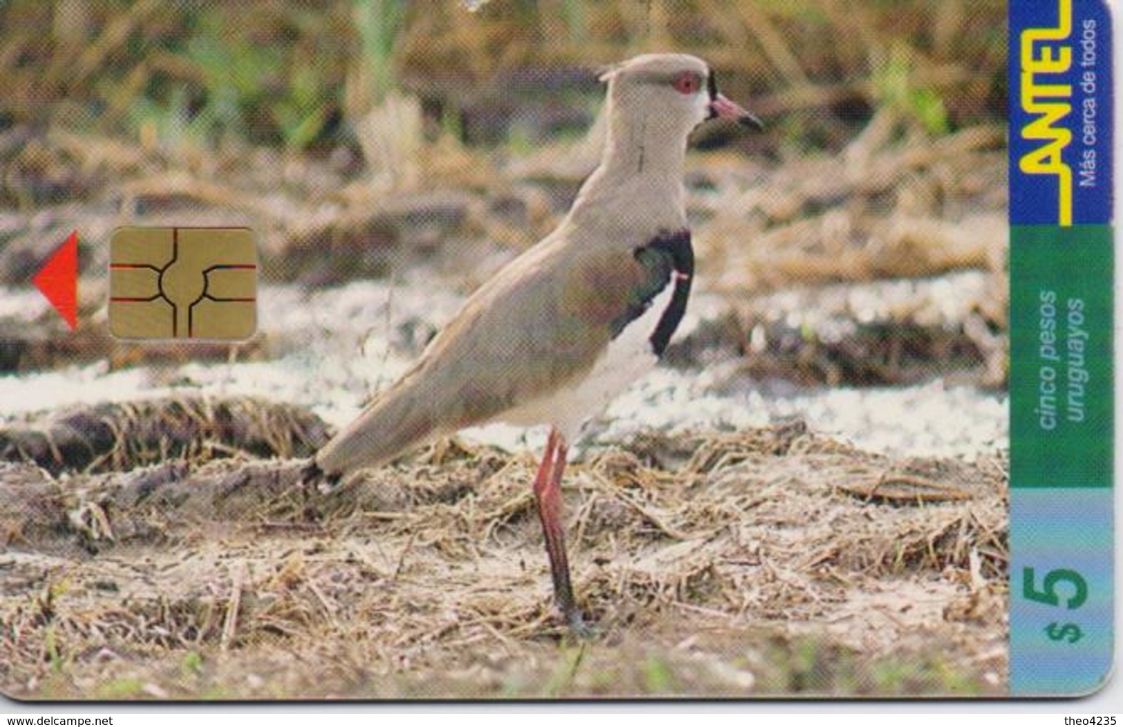 URUGUAY PHONECARD ANTEL(chip) BIRDS-Tc 79a-9/99-150000pcs-USED(bx1) - Autres & Non Classés