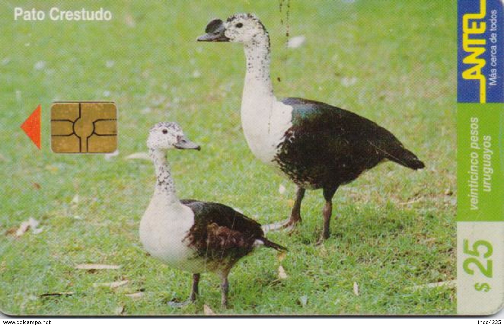 URUGUAY PHONECARD ANTEL(chip) BIRDS-Tc 114a-3/00-200000pcs-USED(bx1) - Hühnervögel & Fasanen