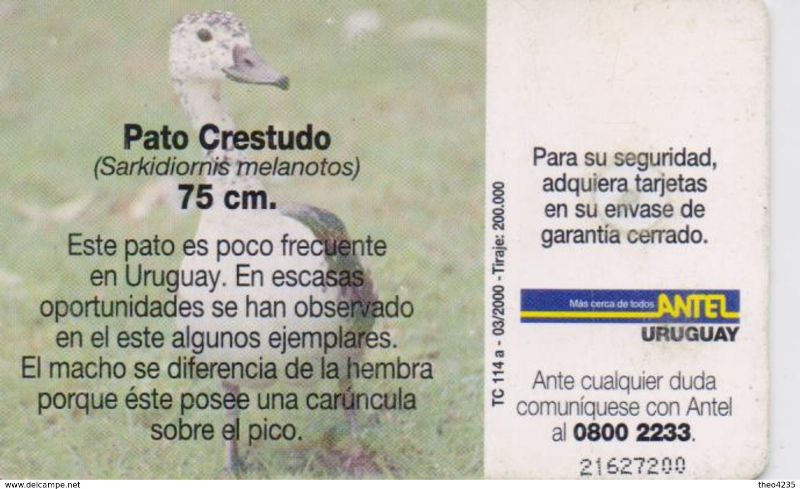 URUGUAY PHONECARD ANTEL(chip) BIRDS-Tc 114a-3/00-200000pcs-USED(bx1) - Gallinacés & Faisans