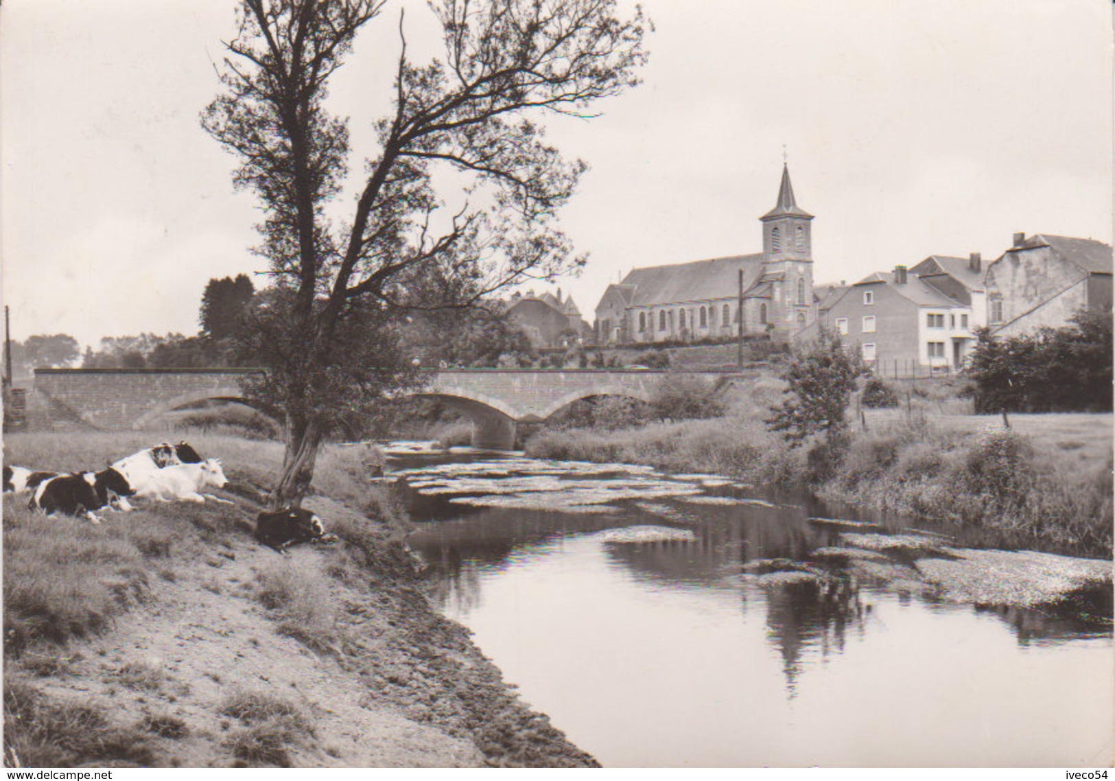 1966  -  Tintigny -   "  L' Eglise Et Le Pont Sur La Semois " - Tintigny