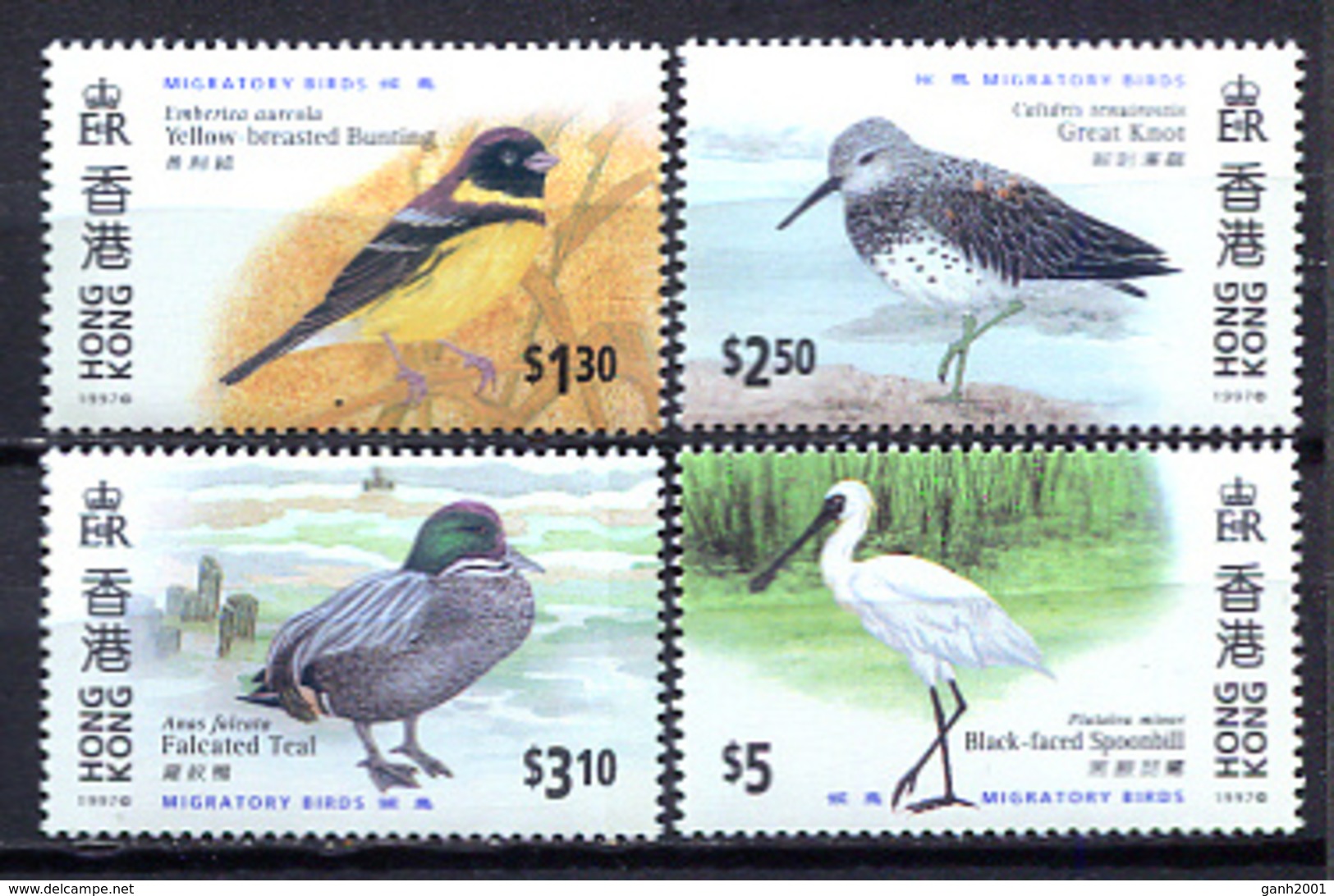 Hong Kong 1997 / Birds MNH Vögel Aves Oiseaux / Cu3003  5 - Otros & Sin Clasificación