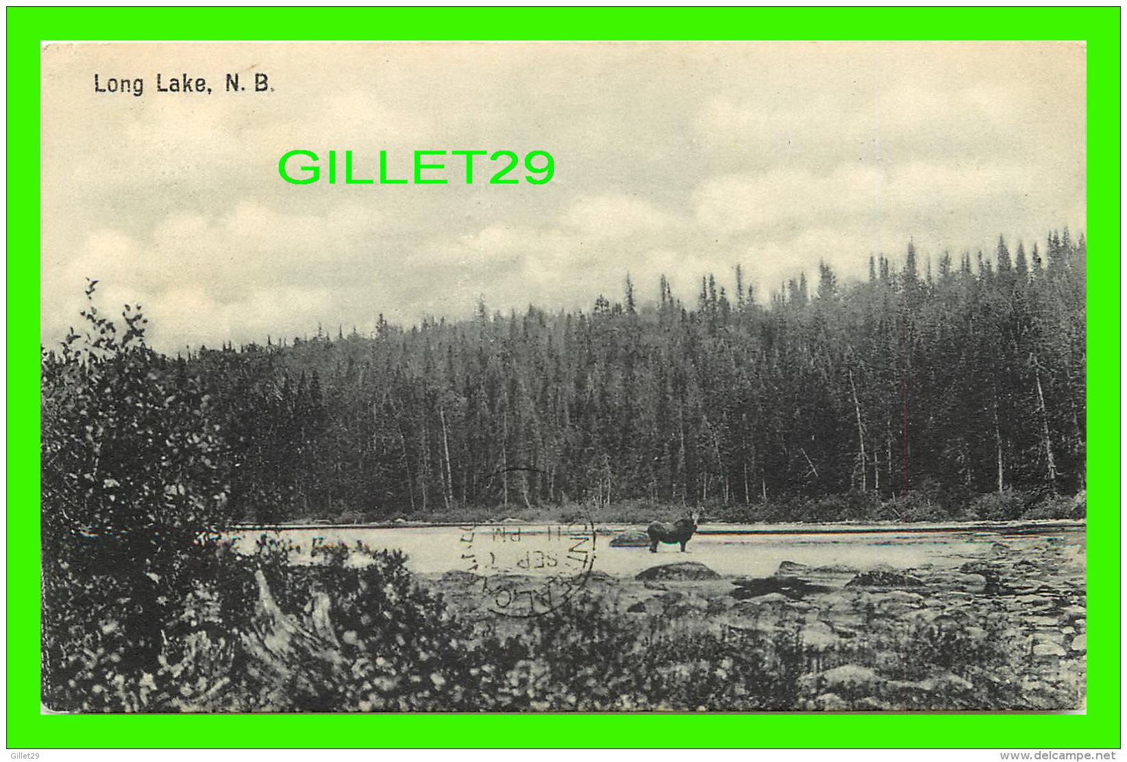 LONG LAKE, NEW BRUNSWICK - MOOSE IN THE LAKE - TRAVEL IN 1907 - ILLUSTRATED POST CARD CO - - Autres & Non Classés