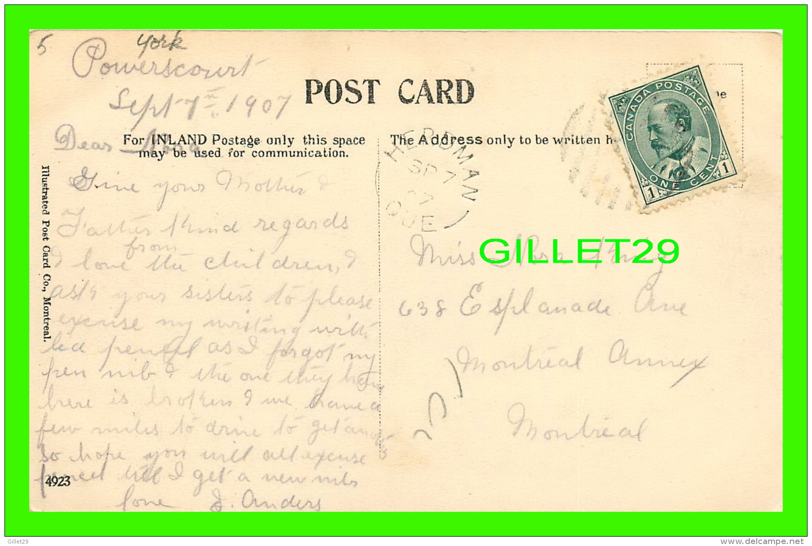 LONG LAKE, NEW BRUNSWICK - MOOSE IN THE LAKE - TRAVEL IN 1907 - ILLUSTRATED POST CARD CO - - Autres & Non Classés