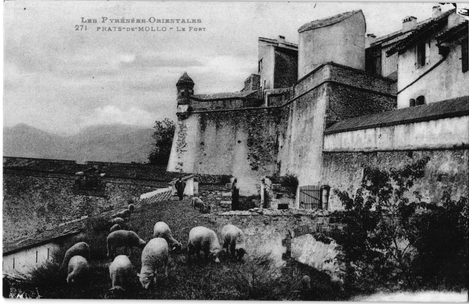 DESTOCKAGE LOT DE  + 400 cpa des PYRENEES ORIENTALES (66) - 1 euro pas de prix de réserve -  voir scans