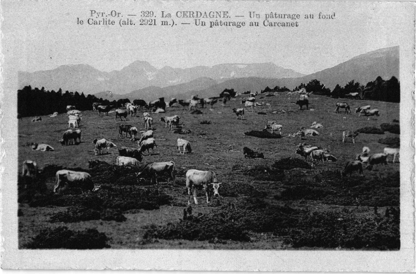 DESTOCKAGE LOT DE  + 400 cpa des PYRENEES ORIENTALES (66) - 1 euro pas de prix de réserve -  voir scans