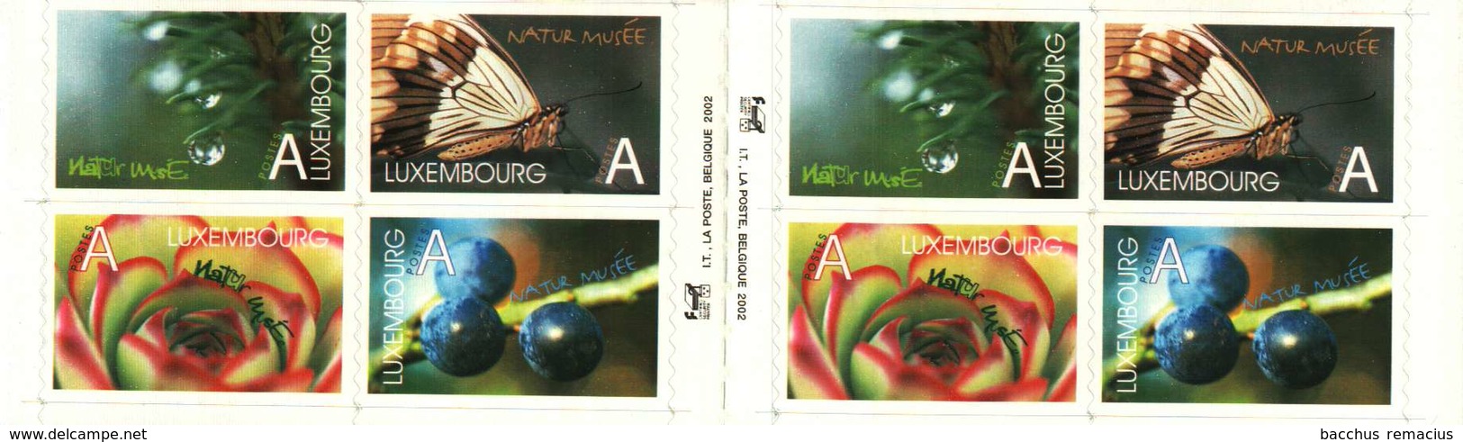 Luxembourg-Grund Carnet De 8 Timbres "A"  Autocollants  Musée D'Histoire Naturelle Naturmuseum 2002 - Postzegelboekjes