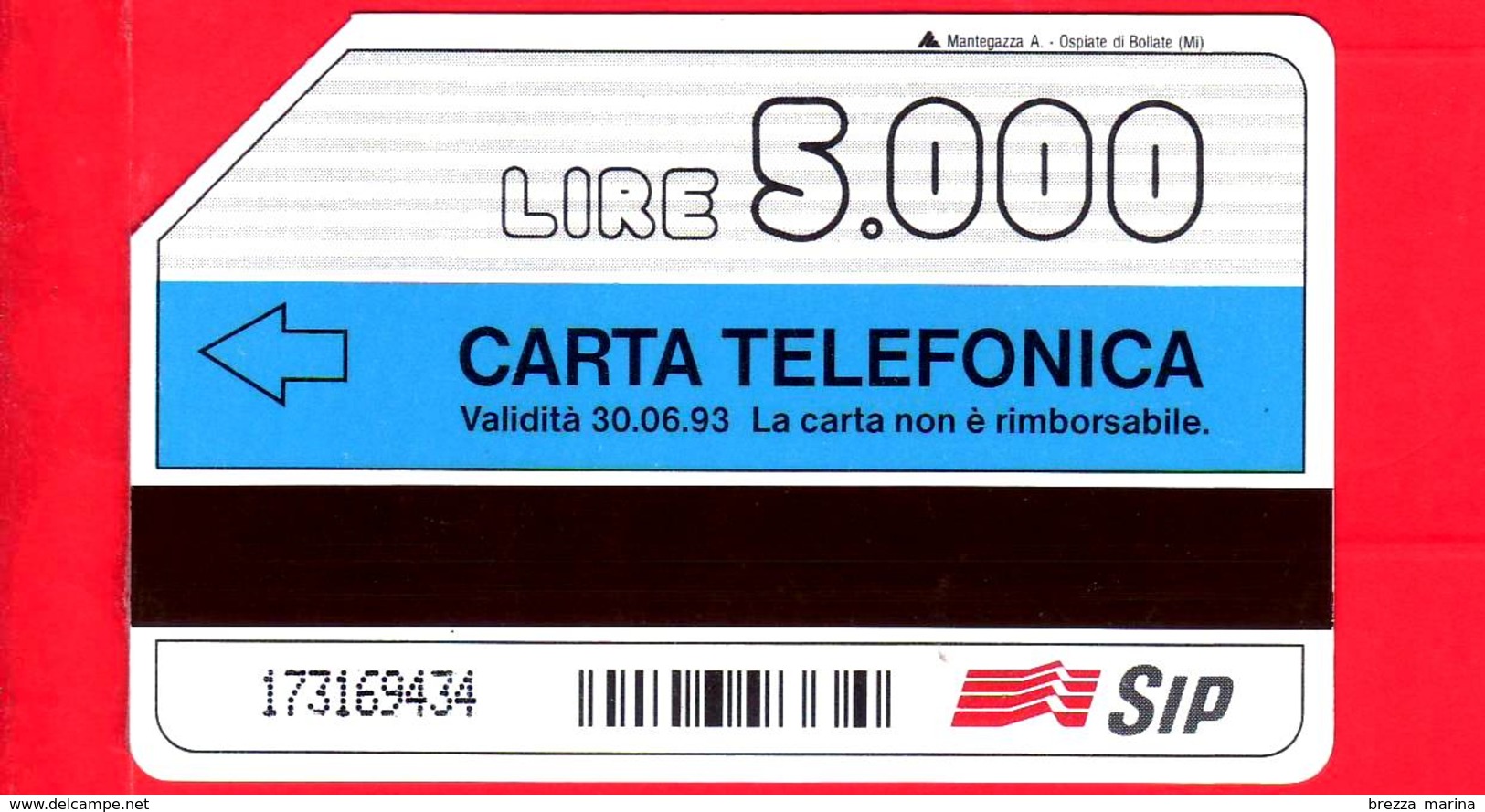 ITALIA - Scheda Telefonica - SIP - Usata - Pagine Gialle Elettroniche - C&C 2196 - Golden 139 - Pubbliche Speciali O Commemorative