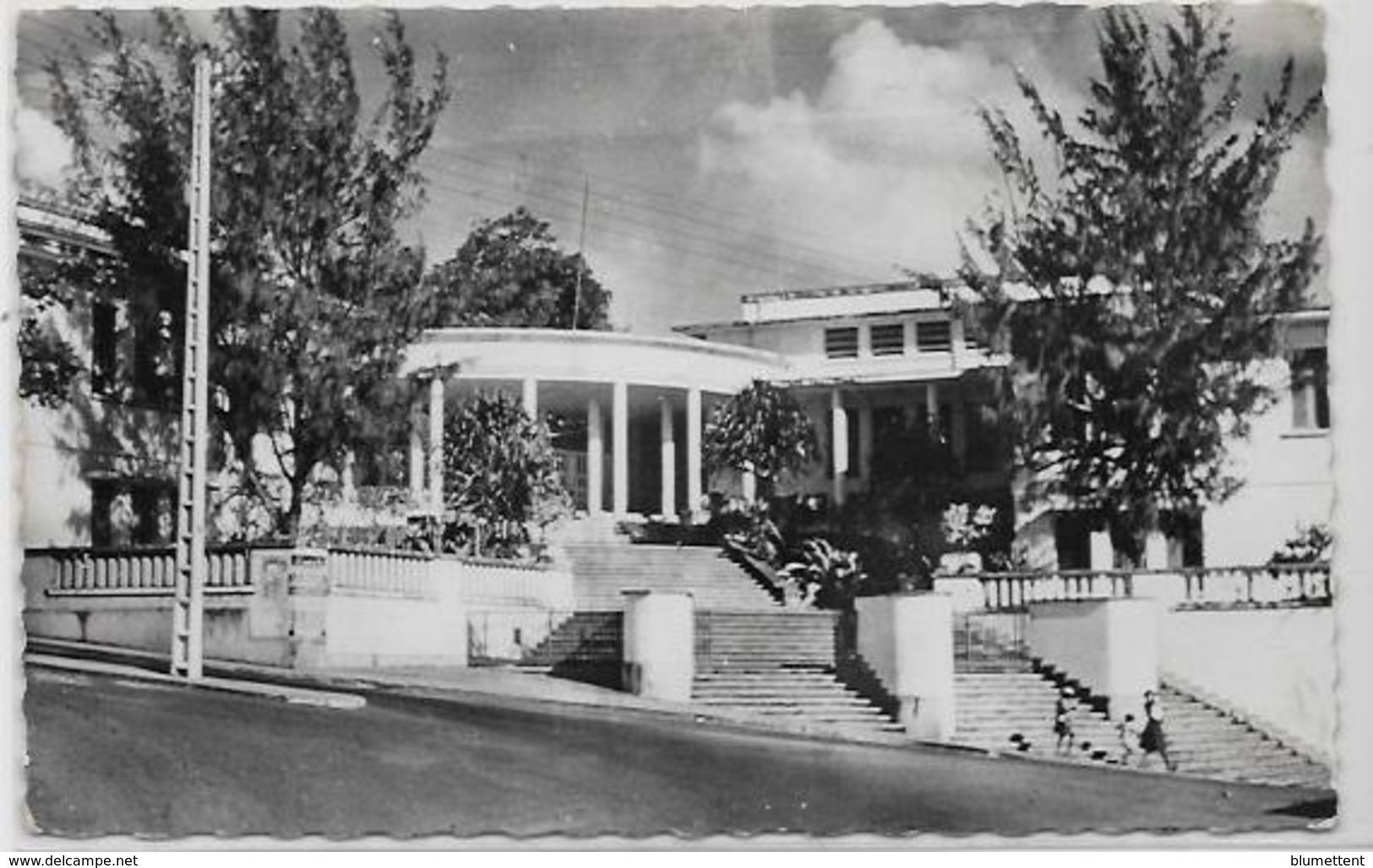 CPSM 9 X 14 Guadeloupe Colonies Françaises écrite éditeur YVON B30 Basse Terre - Autres & Non Classés