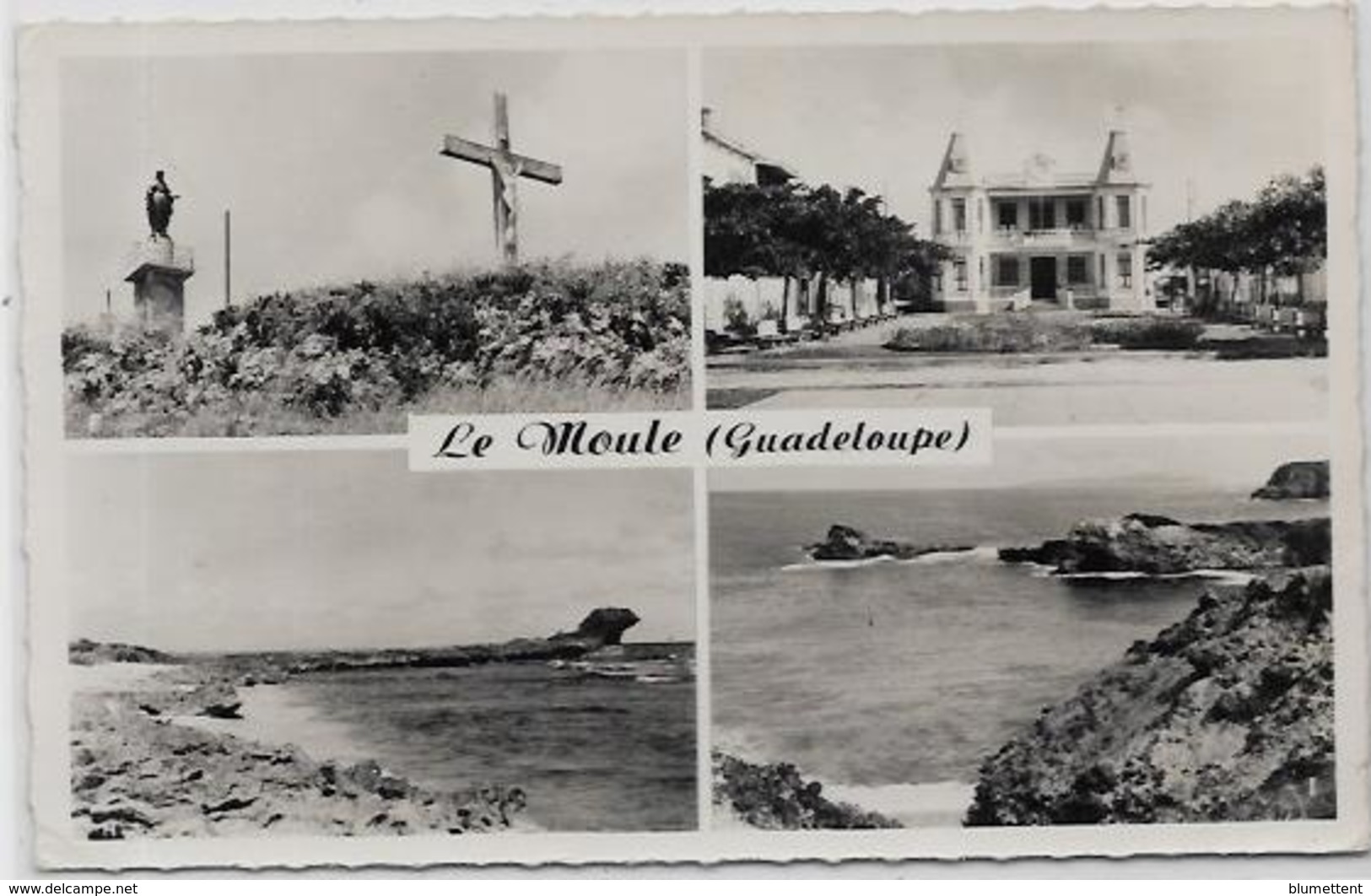 CPSM 9 X 14 Guadeloupe Colonies Françaises écrite éditeur CANDALEN N° 51 Le Moule - Pointe A Pitre