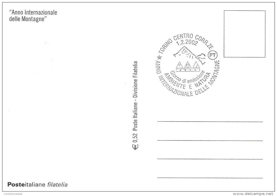 [MD0919] CPM - TORINO - ANNO INTERNAZIONALE DELLE MONTAGNE - CON ANNULLO 1.2.2002 - NV - Expositions