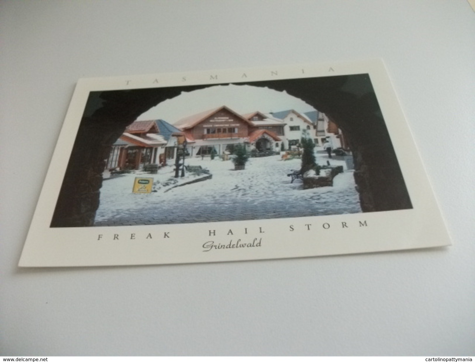 FREAK HAIL STORM 1991 GRINDELWALD TASMANIA - Altri & Non Classificati