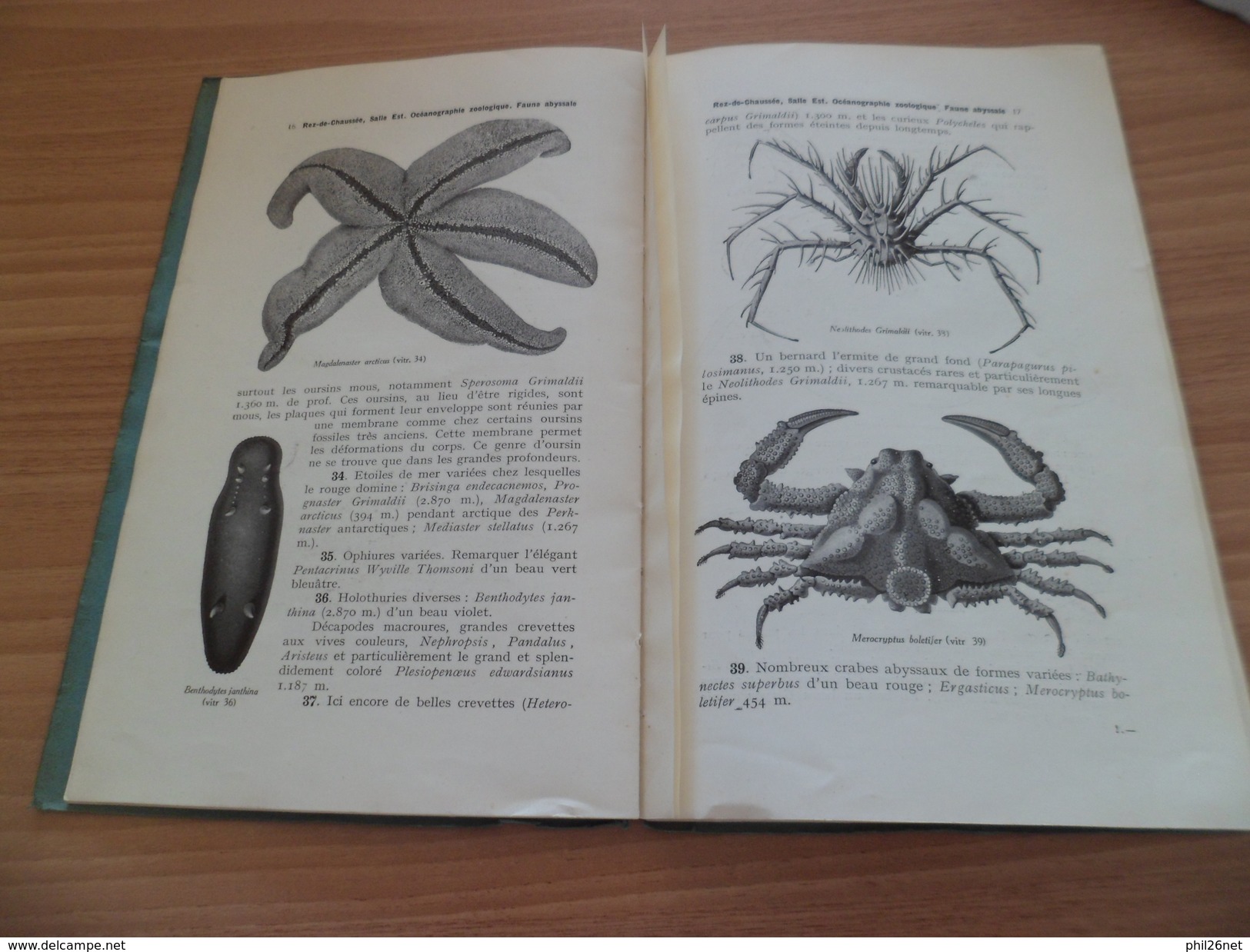 Guide Illustré Musée Océanographique & Aquarium de Monaco 1920 imp.Robaudy Cannes Photos: Seeberger-Giletta-Enrietti- TB