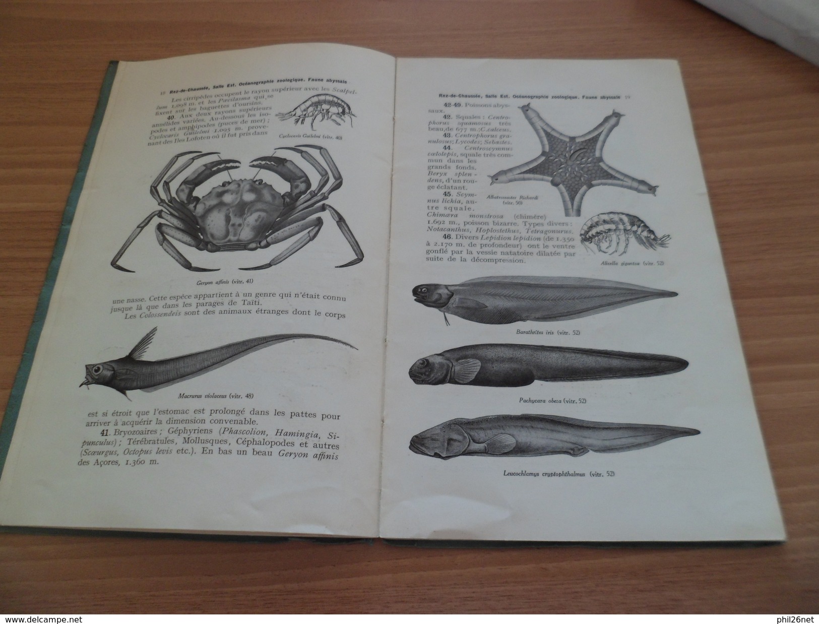 Guide Illustré Musée Océanographique & Aquarium de Monaco 1920 imp.Robaudy Cannes Photos: Seeberger-Giletta-Enrietti- TB