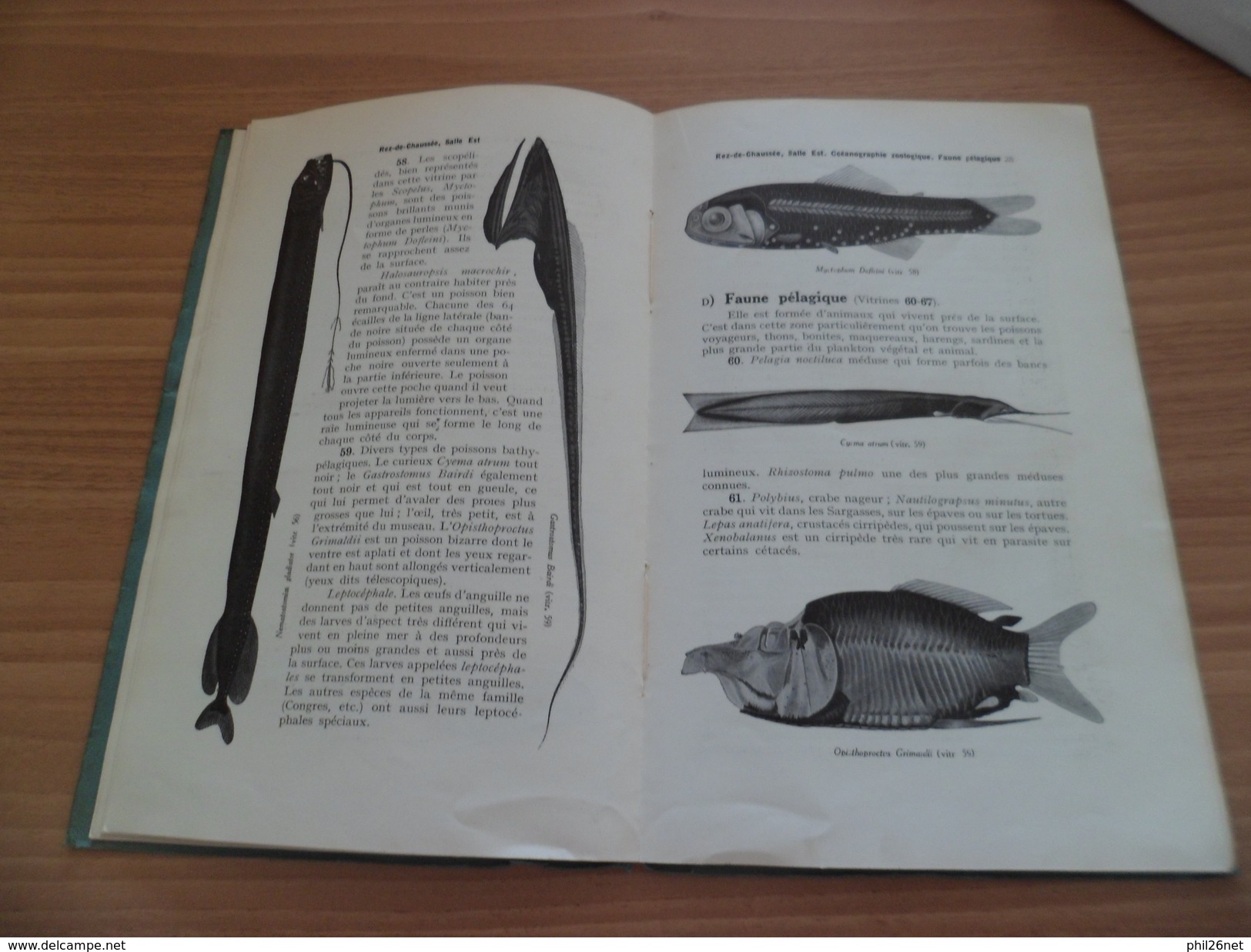 Guide Illustré Musée Océanographique & Aquarium de Monaco 1920 imp.Robaudy Cannes Photos: Seeberger-Giletta-Enrietti- TB