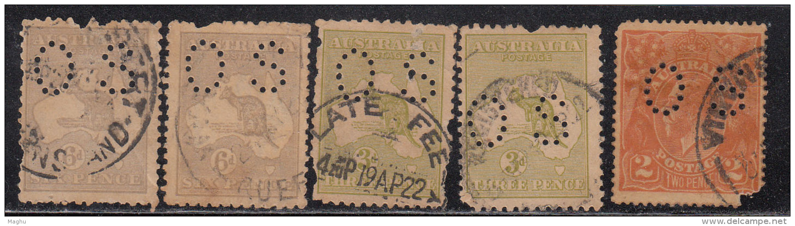 5 Used Official, Officials,  Australia Used, Kangaroo Series &amp; KGV, As Scan - Officials