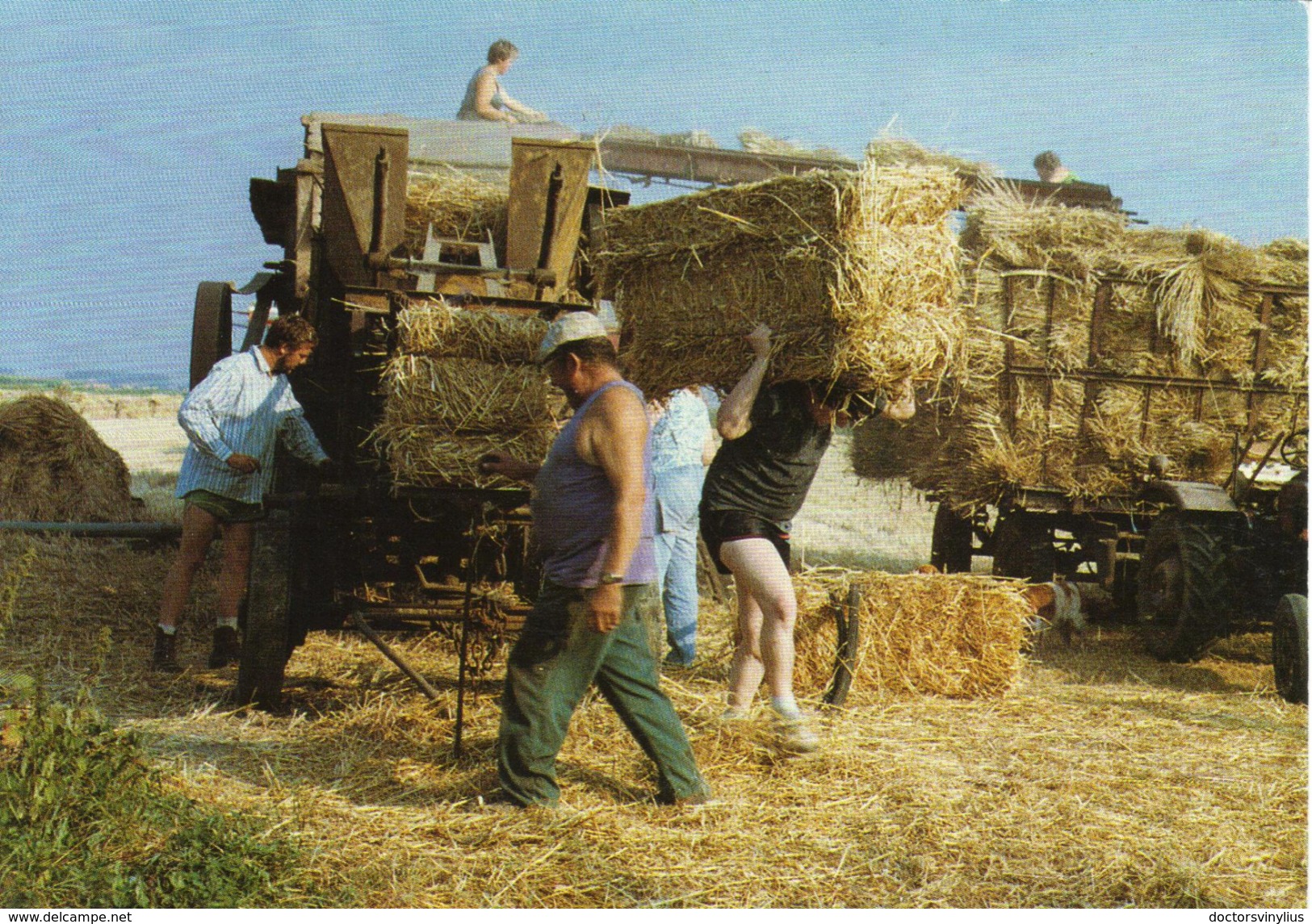 BATTAGE DU BLE EN FAMILLE CHEZ M.GOMBERT - 08/1991 - M92051 - 300EX - Paysans