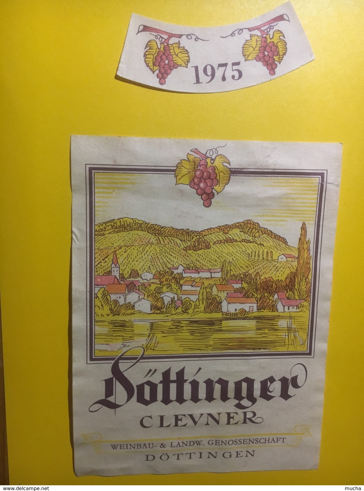 3832 - Döttlinger Clevner 1975  Döttingen Suisse - Sonstige & Ohne Zuordnung