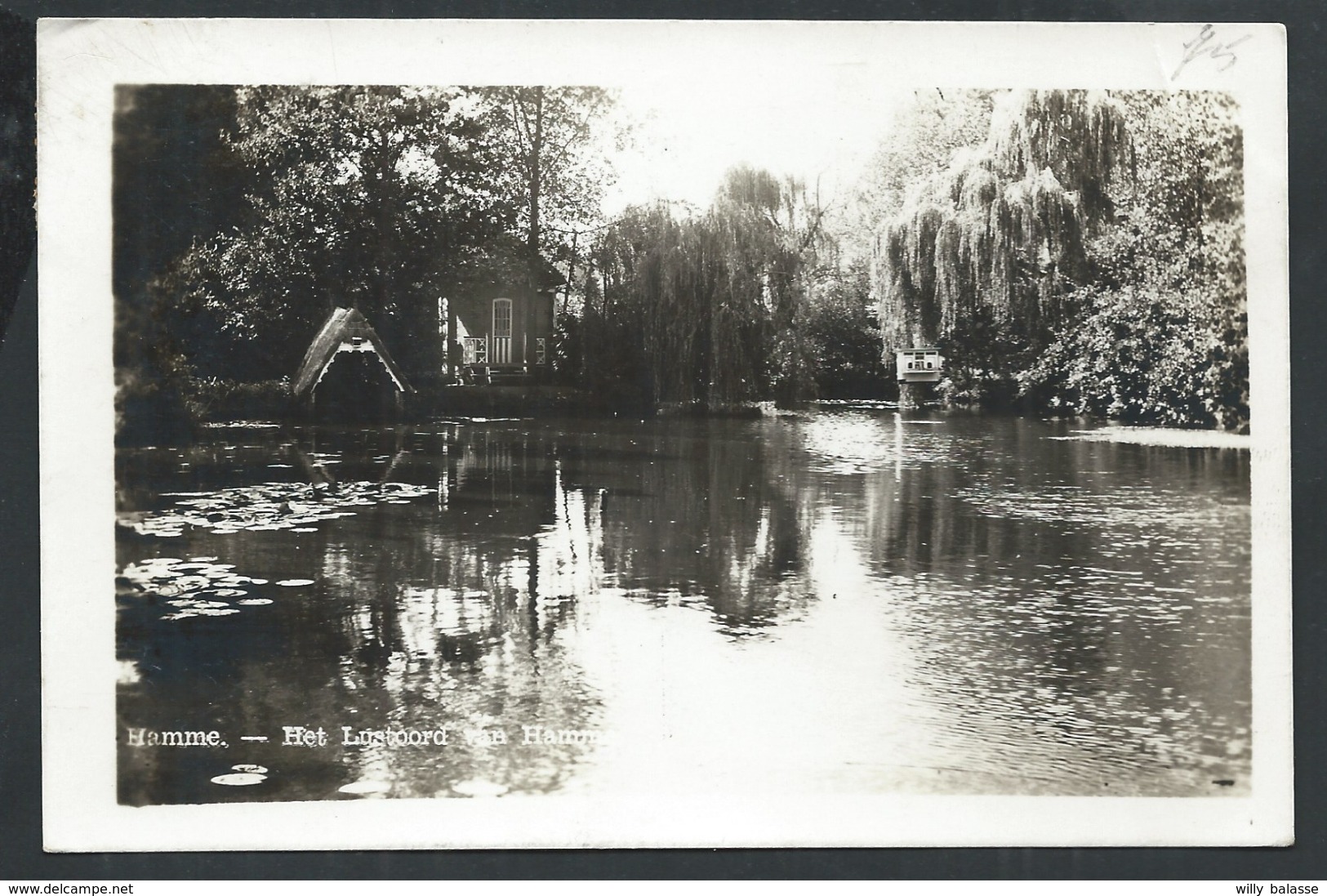 +++ CPA - Photo Carte - Foto Kaart - HAMME - Het Lustoord Van Hamme   // - Hamme