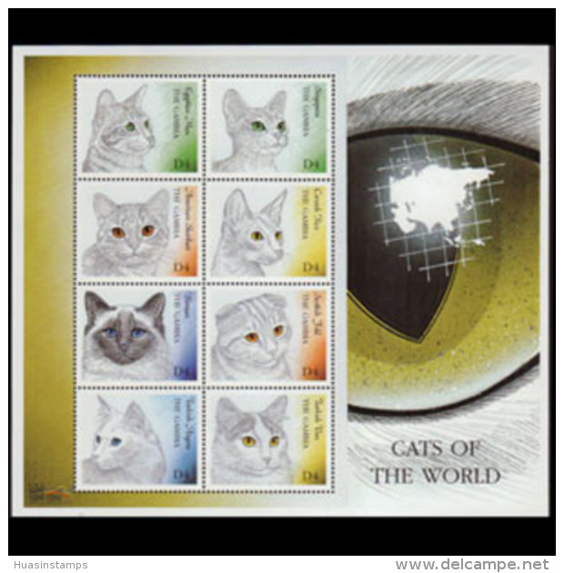 GAMBIA 2000 - Scott# 2286 Sheet-Cats MNH - Gambia (1965-...)