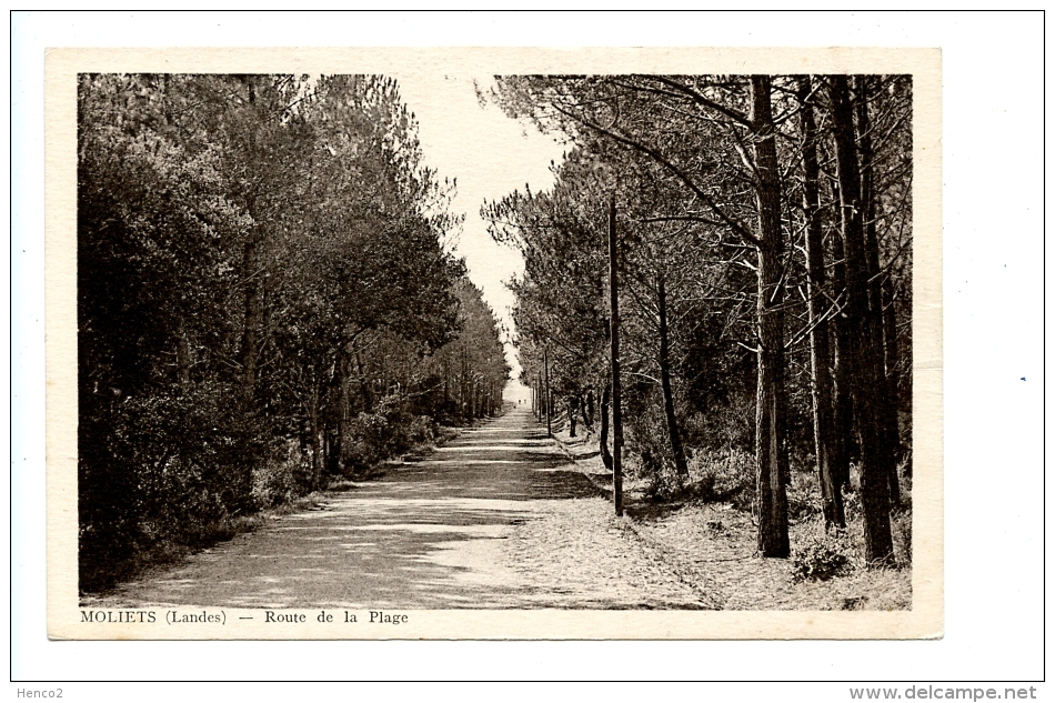 Moliets (Landes) - Route De La Plage (1949) - Dax