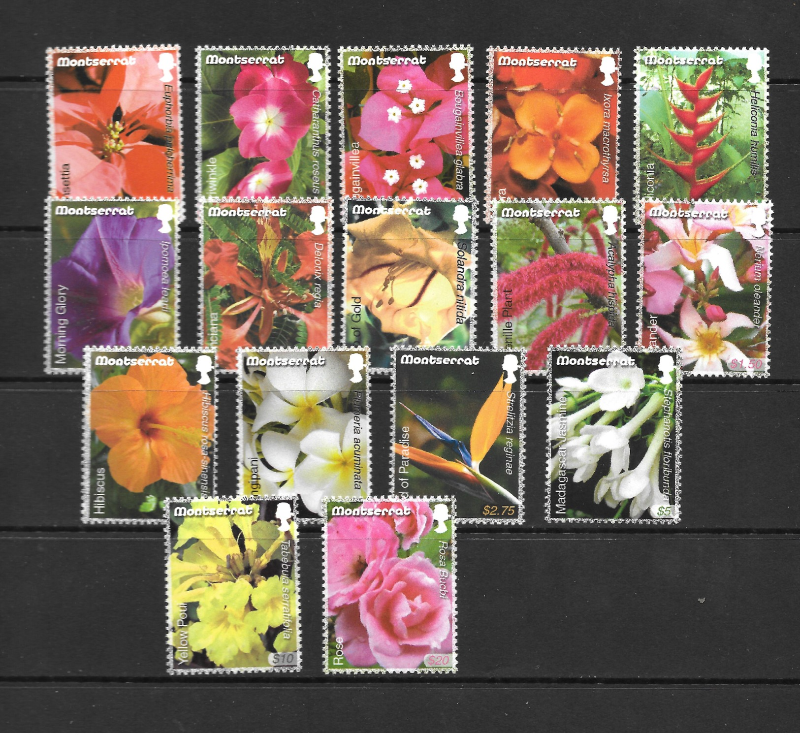 Montserrat Mi. Nr.1363-1378 MNH Flowers 2007 - Montserrat