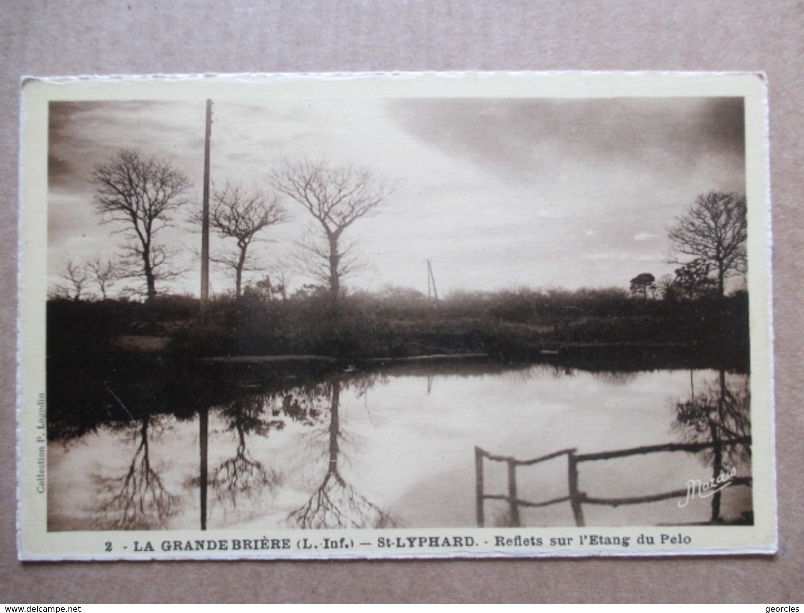 LOIRE ATLANTIQUE   44   ST-LYPHARD   -   LA GRANDE BRIERE  -  REFLETS  SUR L´ETANG DU PELO        TTB - Saint-Lyphard