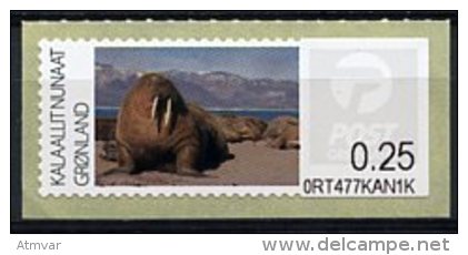 GREENLAND (2011) - Fauna - Morse / Walrus / Walross / Hvalros/ Morsa - Odobenus Rosmarus (M037) - Machine Stamps