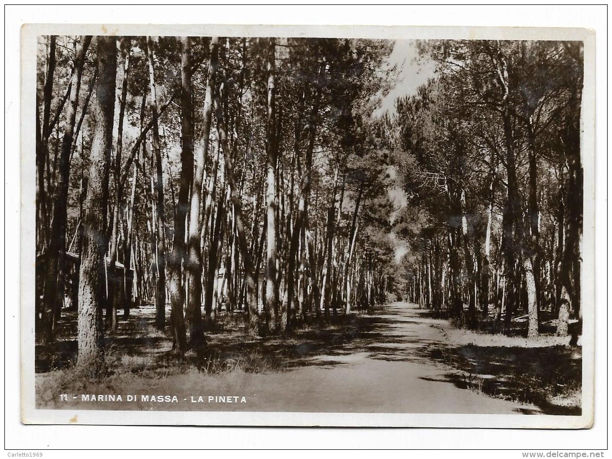 MARINA DI MASSA - LA PINETA   VIAGGIATA FG - Massa