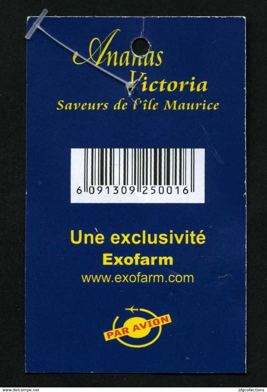 # PINEAPPLE SCB VICTORIA ILE MAURICE MAURITIUS Fruit Tag Balise Etiqueta Anhanger Ananas Pina Par Avion By Air Airplane - Fruits & Vegetables