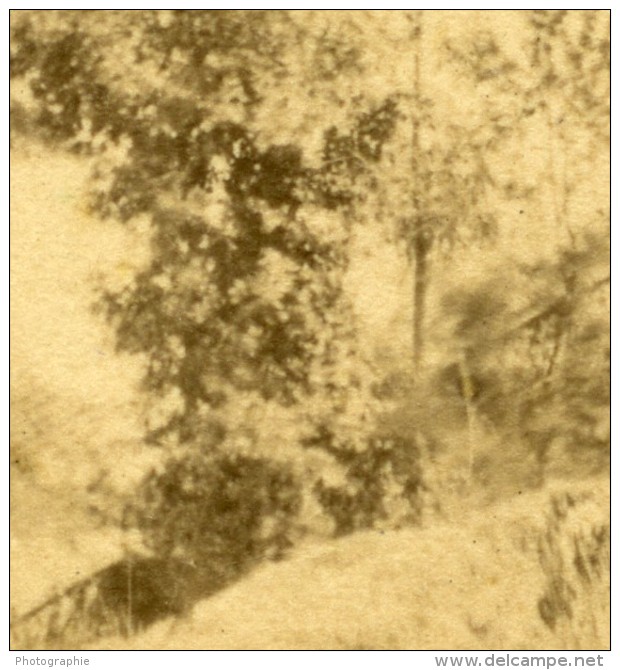 Pyrenees Pierrefitte Entre Cauterets Et Saint Sauveur Ancienne Photo CDV Andrieu 1870 - Old (before 1900)