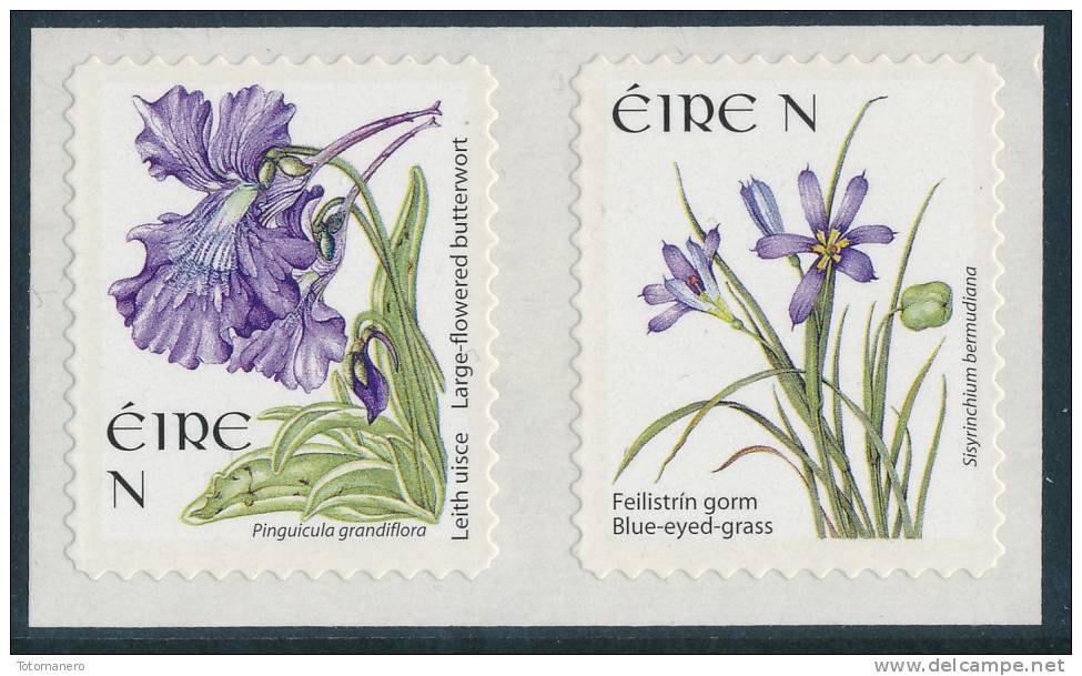 IRELAND/Irland/Eire 2004-2010 Definitive Adhesive N (55c) Pair Ex Booklet** - Unused Stamps