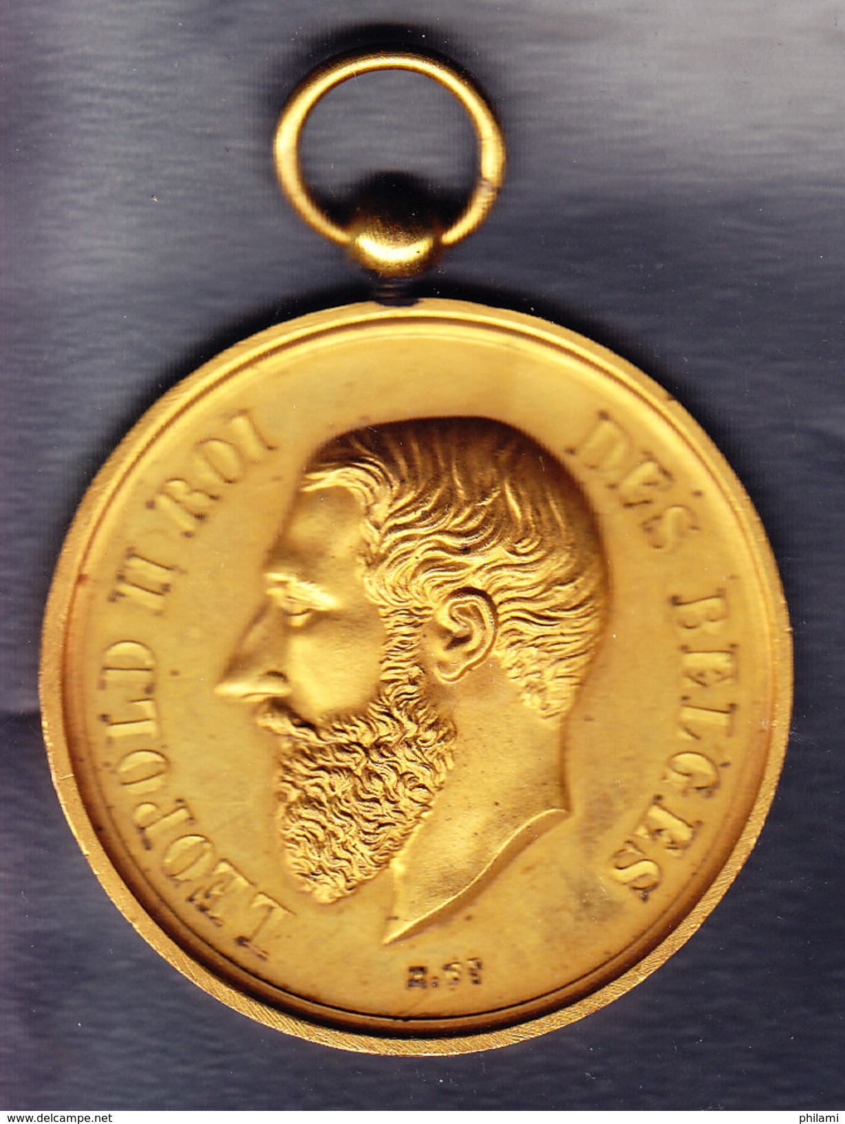 Médaille, EXPOSITION D´HORTICULTURE D´AYWAILLE, 29 Sept 1879, LEOPOLD II ROI DES BELGES.(OM5) - Other & Unclassified