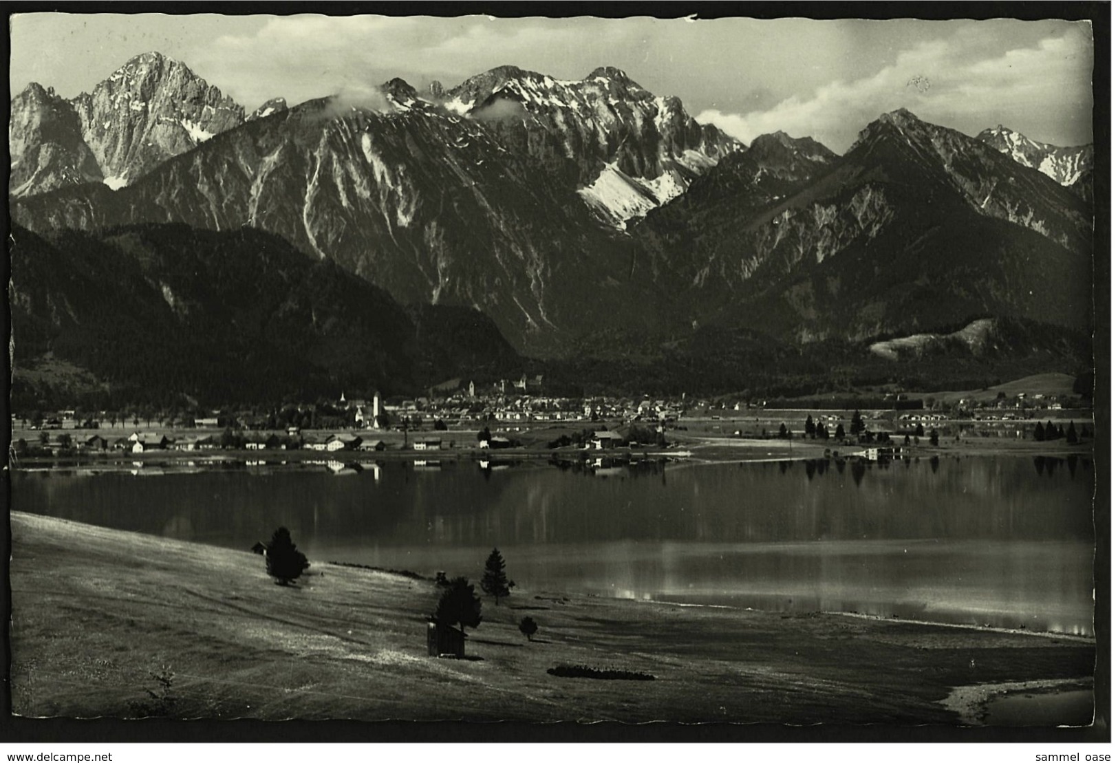 Forggensee  -  Blick Auf Brunnen, Waltenhofen, Füssen  -  Ansichtskarte Ca. 1958    (7139) - Immenstadt