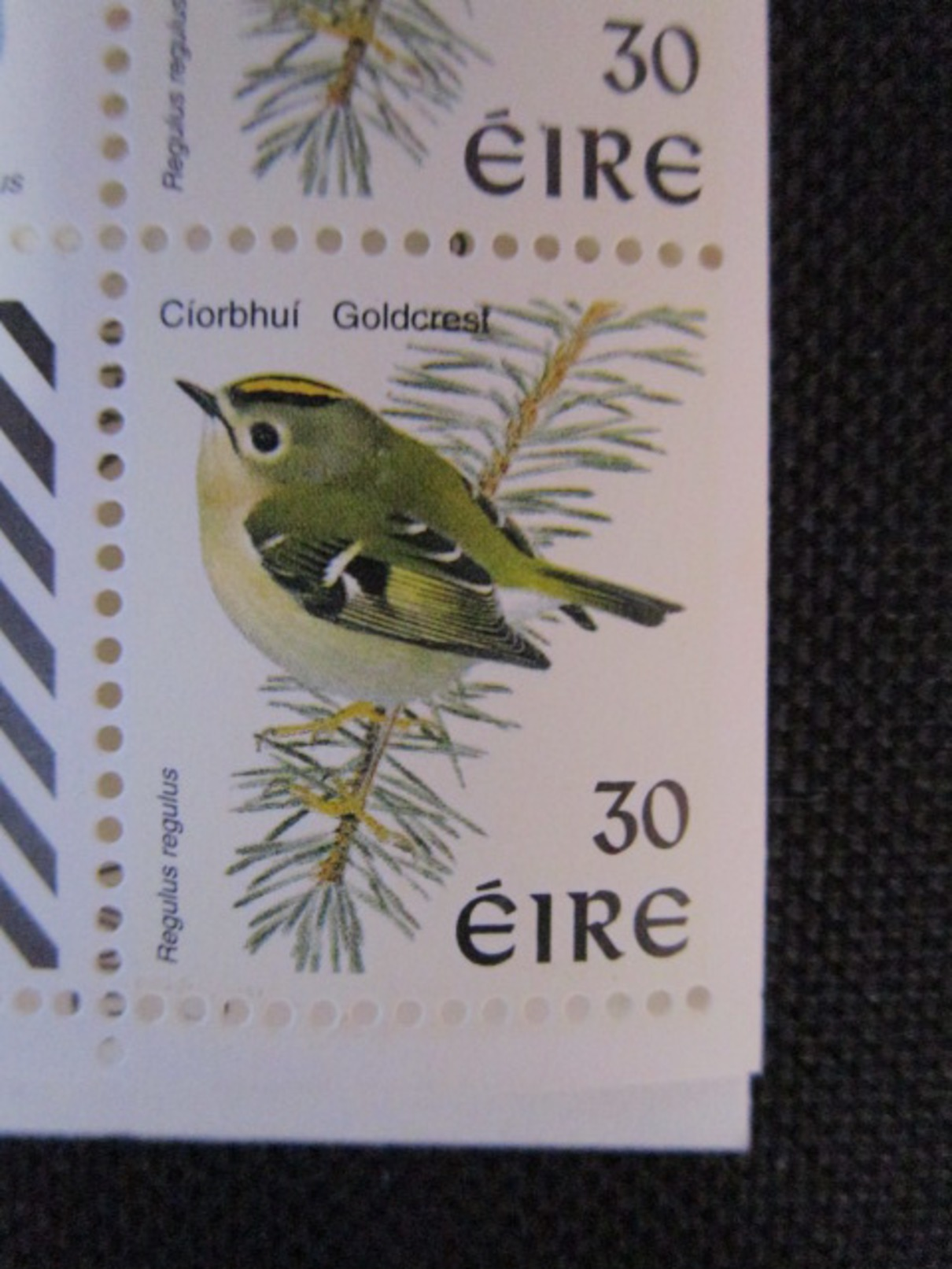 Irlande. 1999. Carnet Yvert N° C1136 **. Faune. Oiseau. Roitelet Huppé. Regulus Regulus. Pigeon Ramier.Columba Palumbus. - Libretti